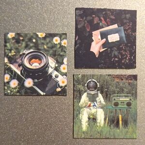 Green Aesthetic Photography Magnet Set of 3